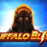 Serunya Petualangan Alam Liar di Buffalo Blitz
