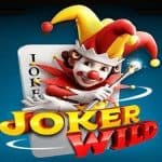 Seru dan Mudah! Jelajahi Dunia Joker Wild dari PG Soft